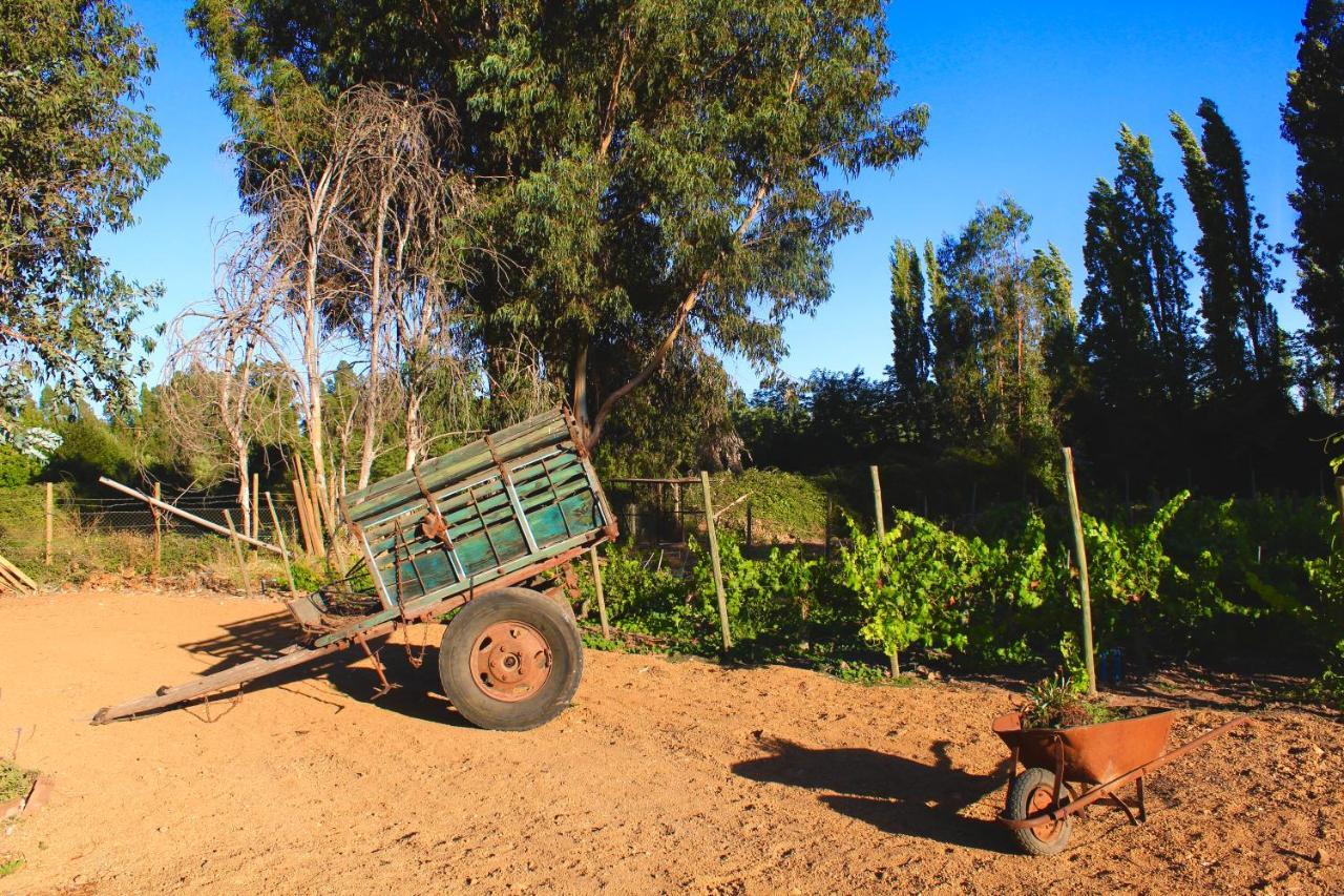 Hotel Boutique Raices De Colchagua Santa Cruz Dış mekan fotoğraf