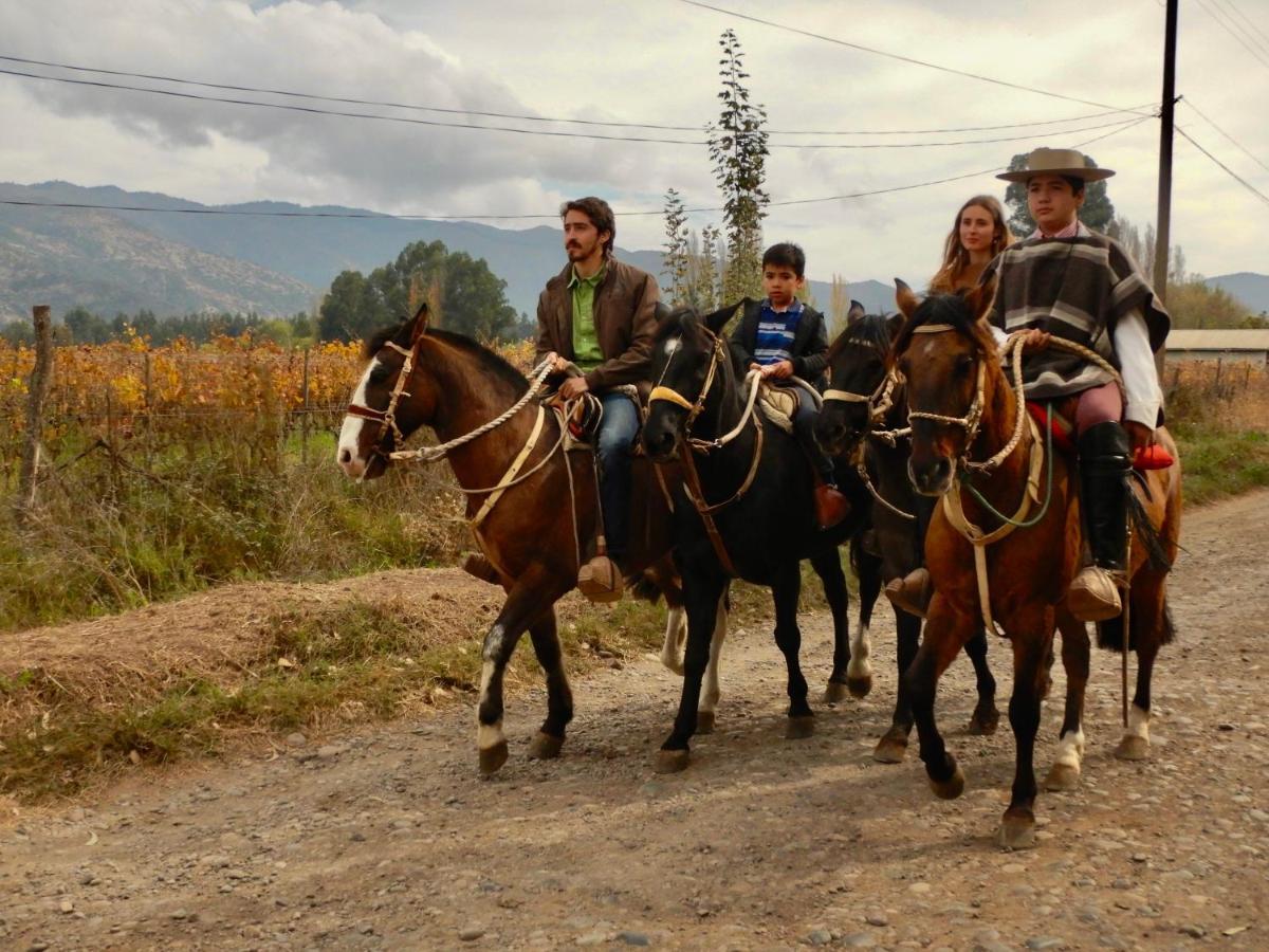 Hotel Boutique Raices De Colchagua Santa Cruz Dış mekan fotoğraf