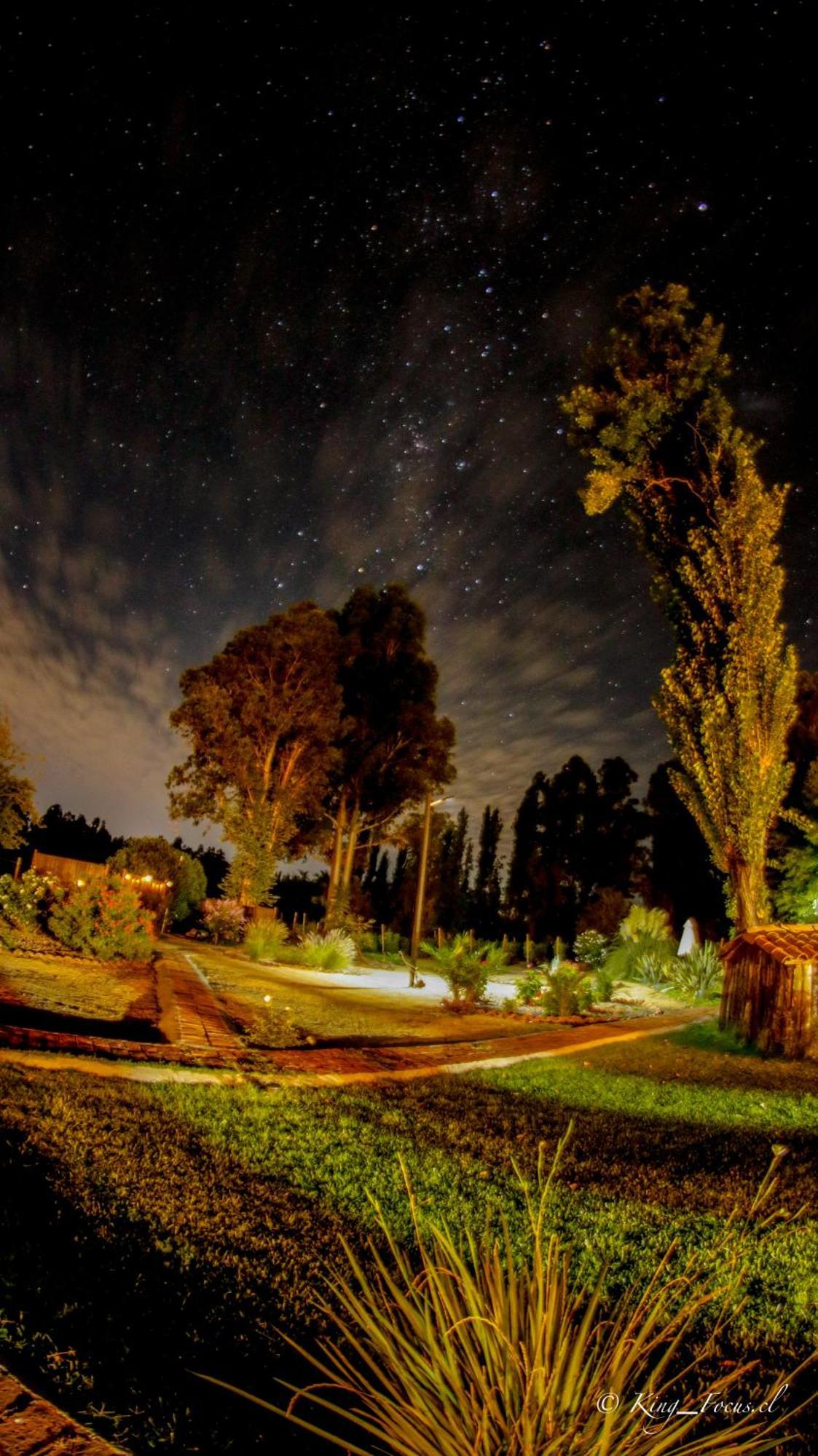 Hotel Boutique Raices De Colchagua Santa Cruz Dış mekan fotoğraf